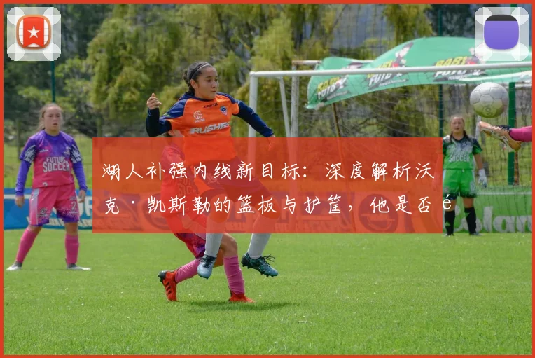 湖人补强内线新目标：深度解析沃克·凯斯勒的篮板与护筐，他是否适配詹眉？